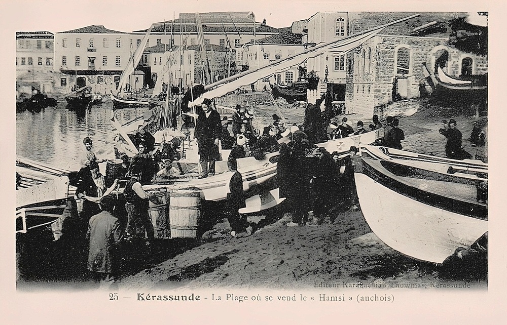 giresun hamsi karakachian