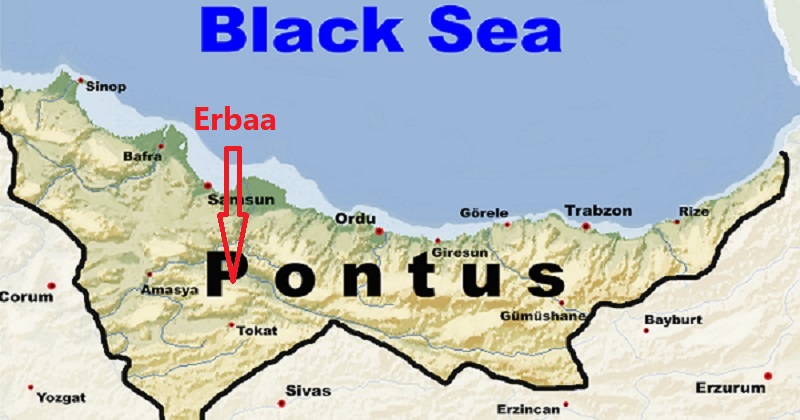 erbaa map